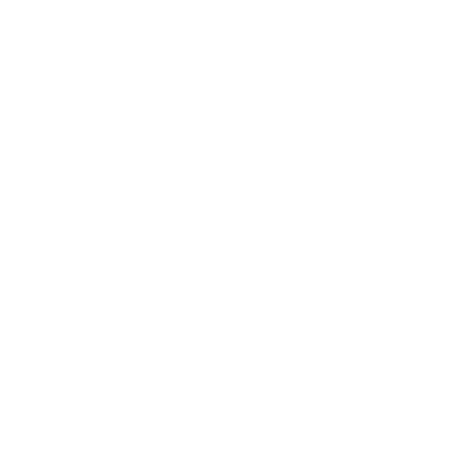 Edison-2